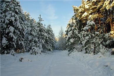 《GTA6》地图惊现“佛州飞地”！最新曝光揭露多个细节